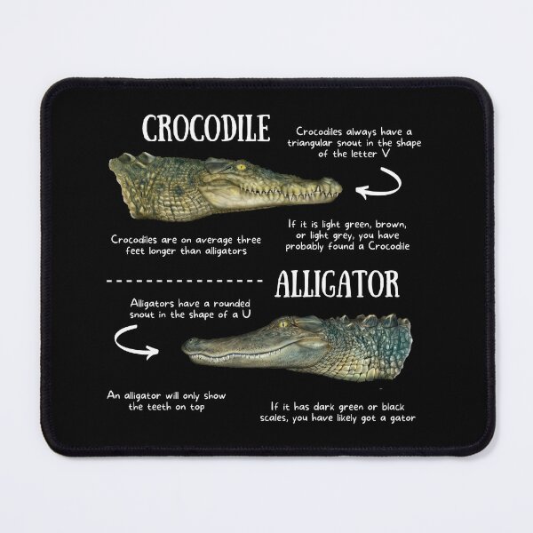 Item preview, Crocodile vs Alligator Fun Facts designed and sold by KyleNesas.