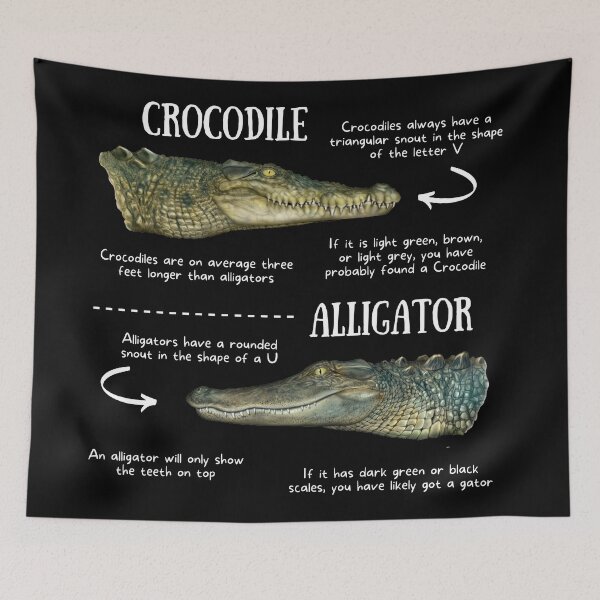 Item preview, Crocodile vs Alligator Fun Facts designed and sold by KyleNesas.