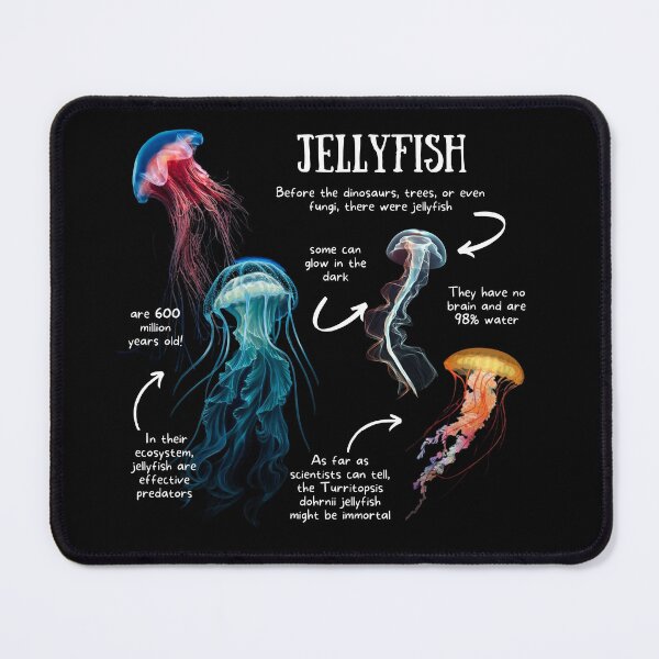 Item preview, Jellyfish Fun Facts designed and sold by KyleNesas.