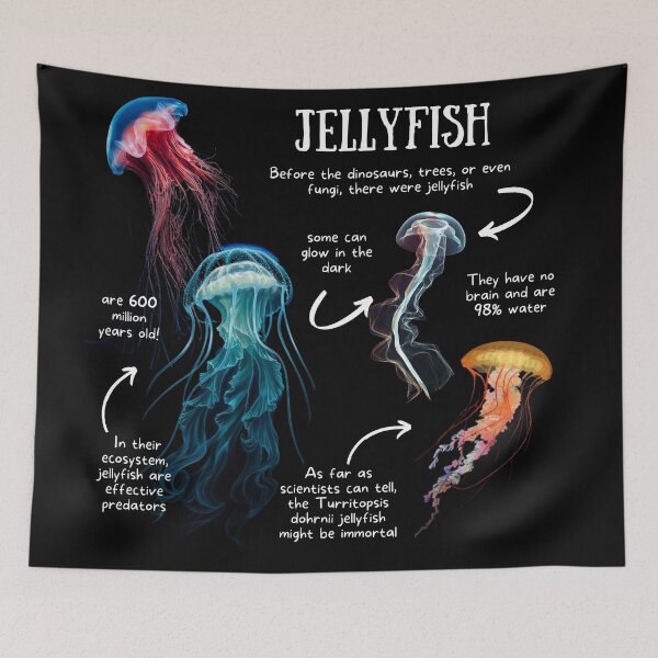Item preview, Jellyfish Fun Facts designed and sold by KyleNesas.