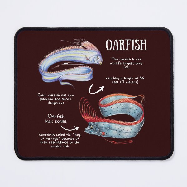 Item preview, Oar Fish Fun Facts designed and sold by KyleNesas.