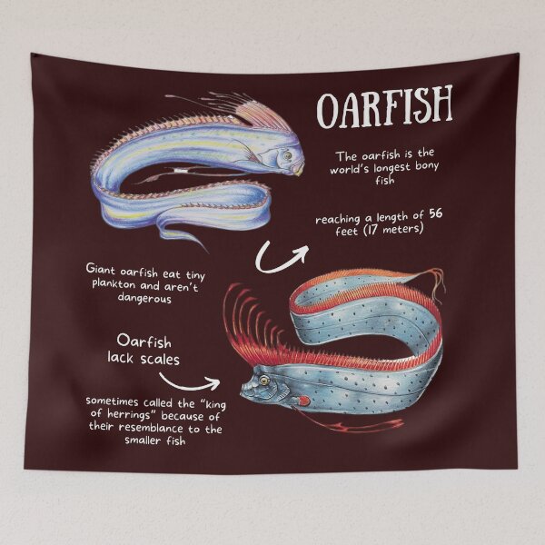 Item preview, Oar Fish Fun Facts designed and sold by KyleNesas.