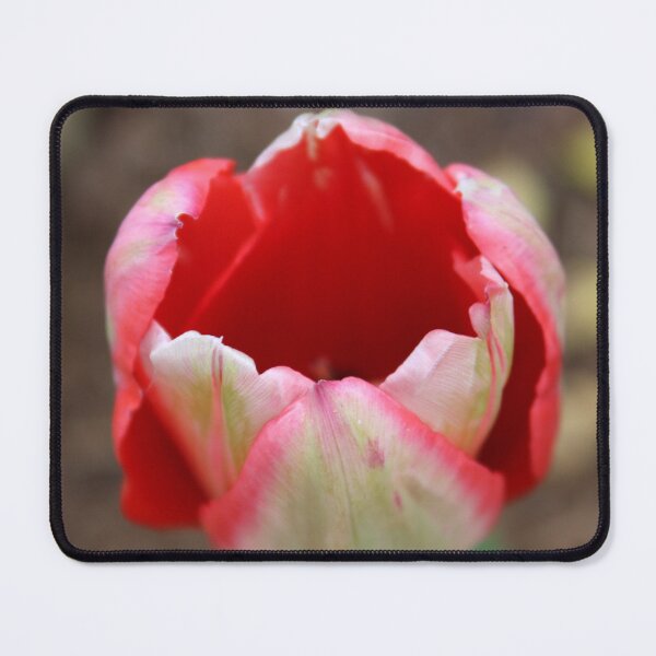 Item preview, Pales By Comparison designed and sold by Michael May.