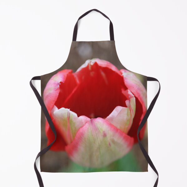 Item preview, Pales By Comparison designed and sold by Michael May.