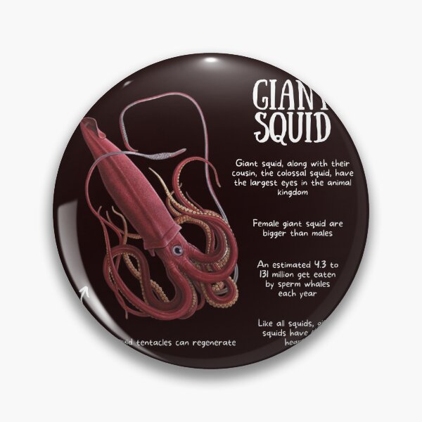 Item preview, Giant Squid Fun Facts designed and sold by KyleNesas.