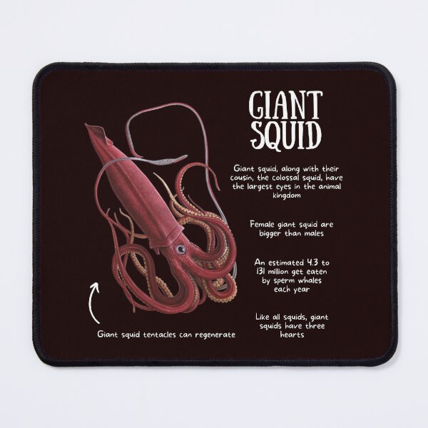 Item preview, Giant Squid Fun Facts designed and sold by KyleNesas.