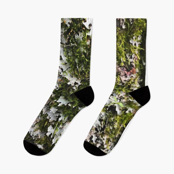 Item preview, Lichen and Moss Texture designed and sold by AlaskaExtreme.