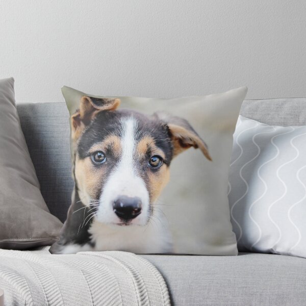 Item preview, Jess, Border Collie Puppy designed and sold by thegreendogs.