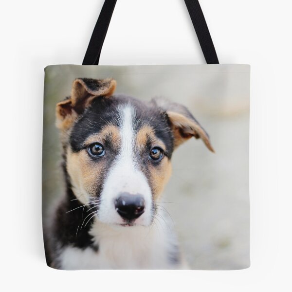 Item preview, Jess, Border Collie Puppy designed and sold by thegreendogs.