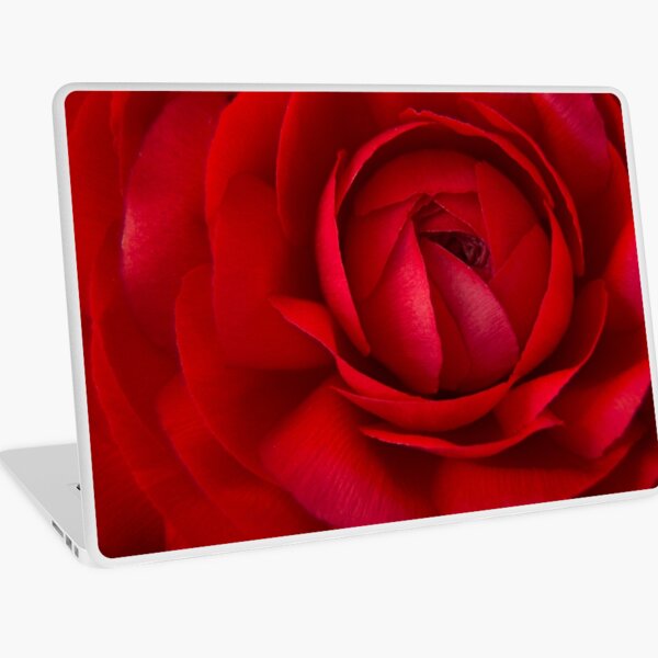 Red Ranunculus Laptop Skin