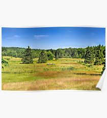 Lush Fields Poster