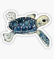 Sea turtle Sticker