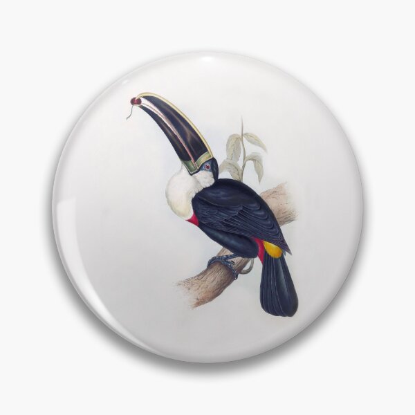 Item preview, Cuvier's Toucan by Elizabeth Gould designed and sold by TheCurators.