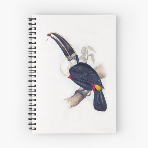 Item preview, Cuvier's Toucan by Elizabeth Gould designed and sold by TheCurators.