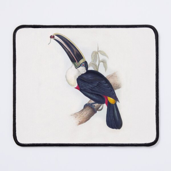 Item preview, Cuvier's Toucan by Elizabeth Gould designed and sold by TheCurators.