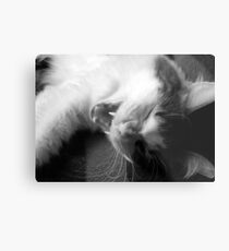 Hilarious Metal Print