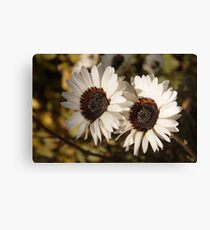 Fowers in Love Canvas Print