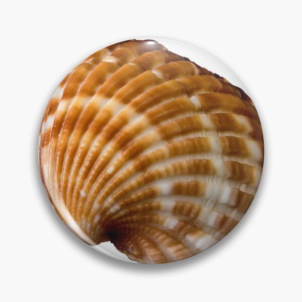 Item preview, sea ​​shell designed and sold by IgorKovalenko.