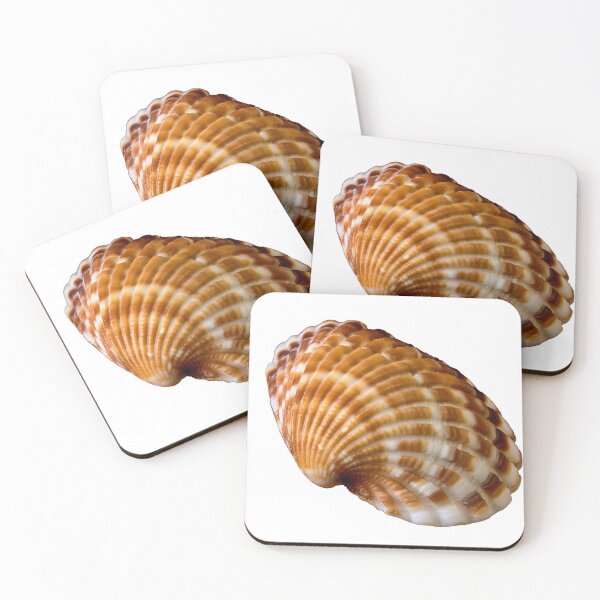 Item preview, sea ​​shell designed and sold by IgorKovalenko.