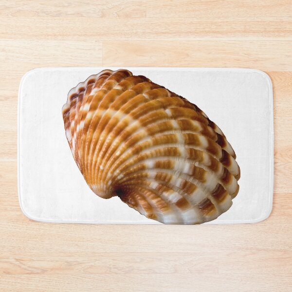Item preview, sea ​​shell designed and sold by IgorKovalenko.