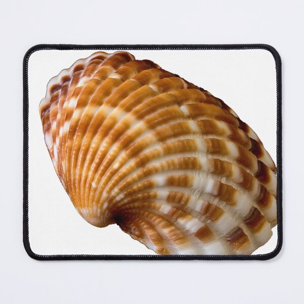 Item preview, sea shell designed and sold by IgorKovalenko.