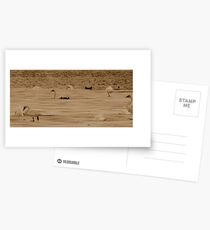 Swan Lake Postcards