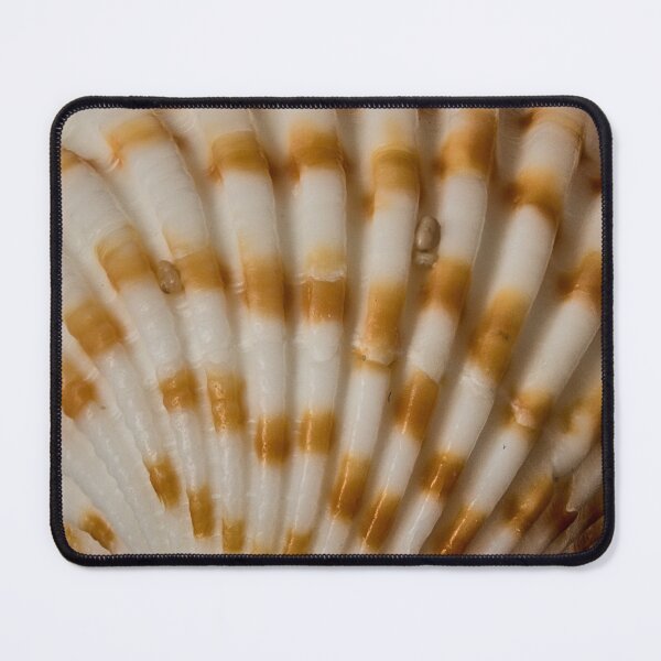 Item preview, seashell designed and sold by IgorKovalenko.