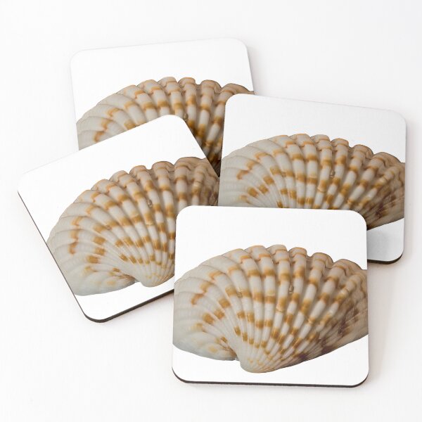 Item preview, seashell designed and sold by IgorKovalenko.