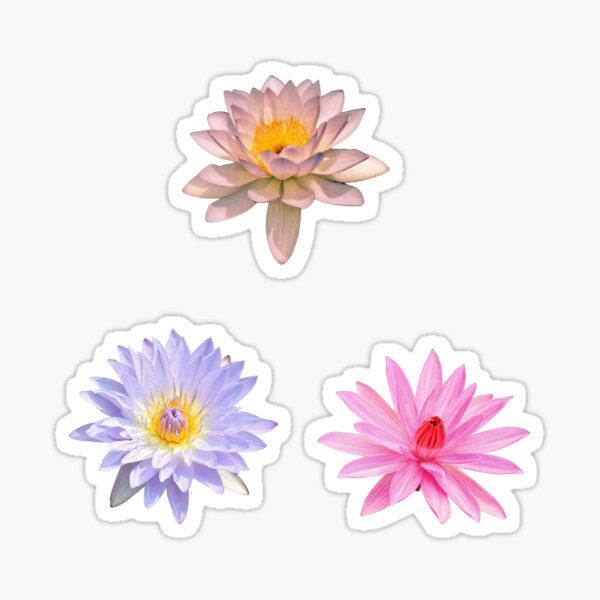 Item preview, Tropical Colorful waterlilies designed and sold by CatsPa.