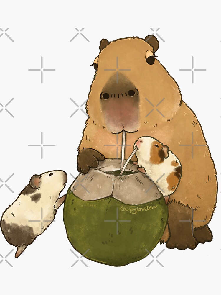 "Coconut dog Capybara" Sticker by nnggoc Redbubble
