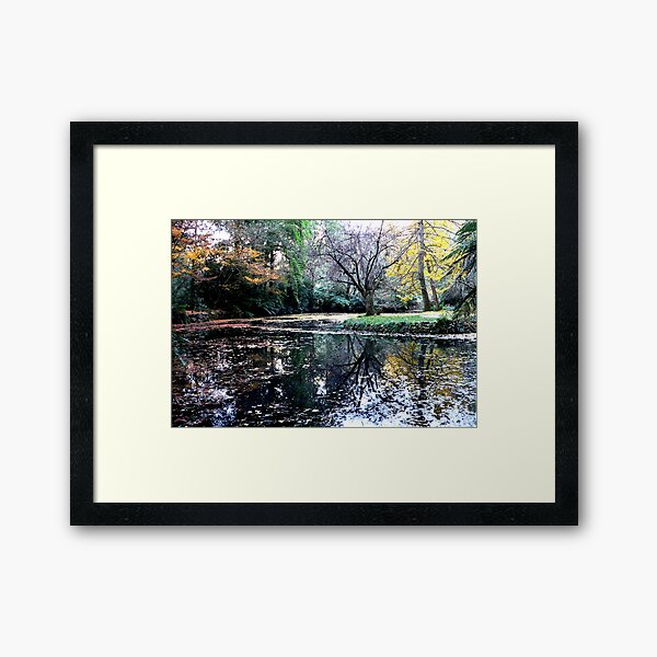 Item preview, Autumn at Alfred Nicholas Gardens  designed and sold by Tom Newman.