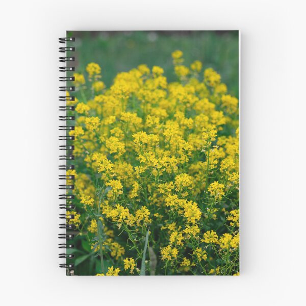 Item preview, Rapeseed yellow flower background on a field	 designed and sold by ExploreYK.