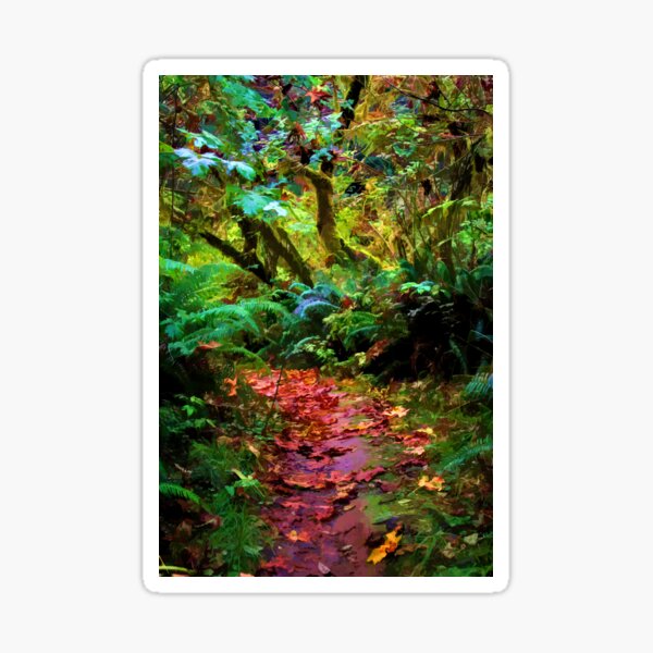 Colors of the Damp Forest Sticker