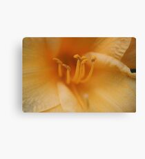 Lily's Pollen Canvas Print