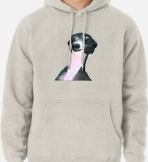 Kermit-Hundeboy Hoodie