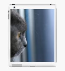 Vinilo o funda para iPad Gato en la ventana - gato en la ventana