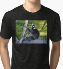 Lenny The Lemor Tri-blend T-Shirt