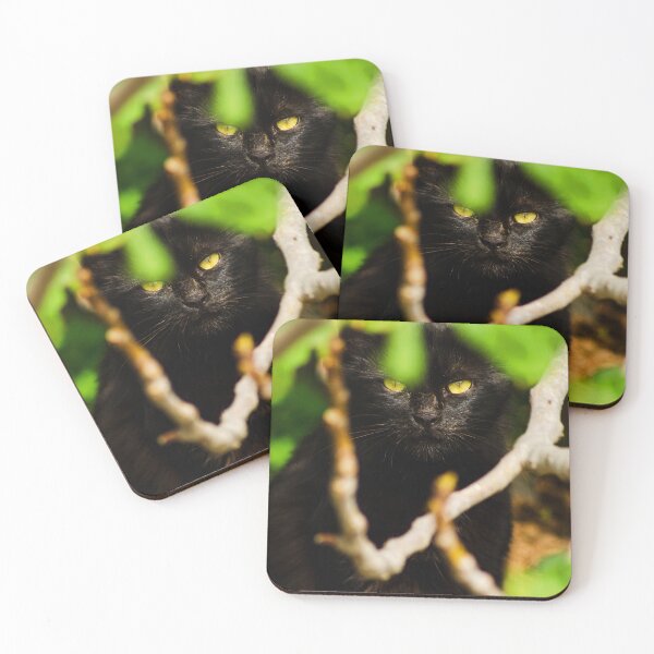Item preview, Black Cat on Skopelos Island (Mamma Mia! Island) designed and sold by SMP-Shop.