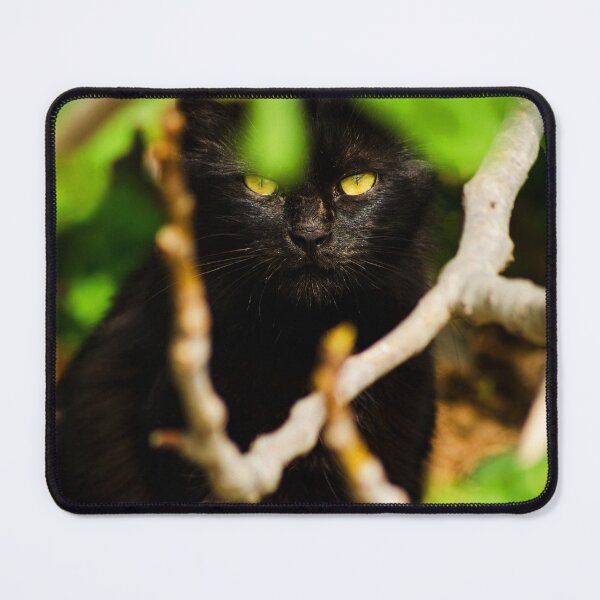 Item preview, Black Cat on Skopelos Island (Mamma Mia! Island) designed and sold by SMP-Shop.