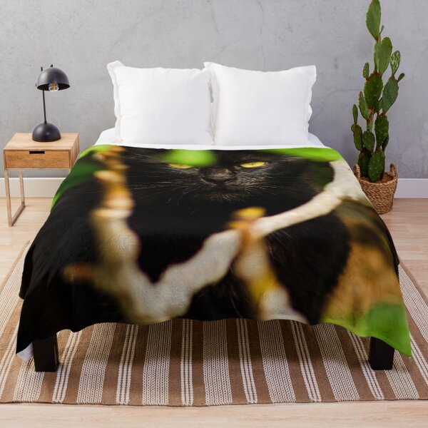 Item preview, Black Cat on Skopelos Island (Mamma Mia! Island) designed and sold by SMP-Shop.