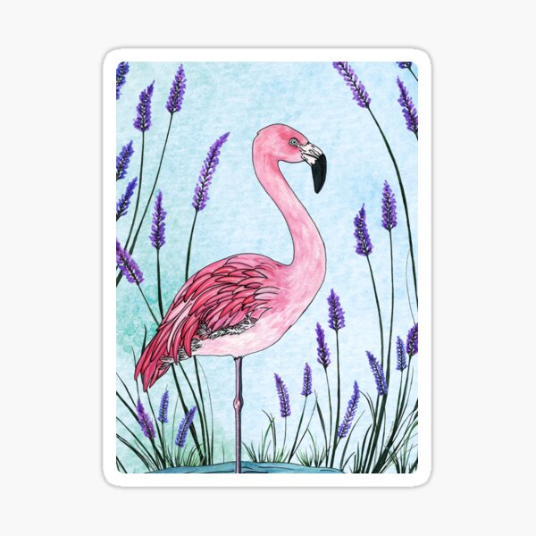 Chilean Flamingo Sticker