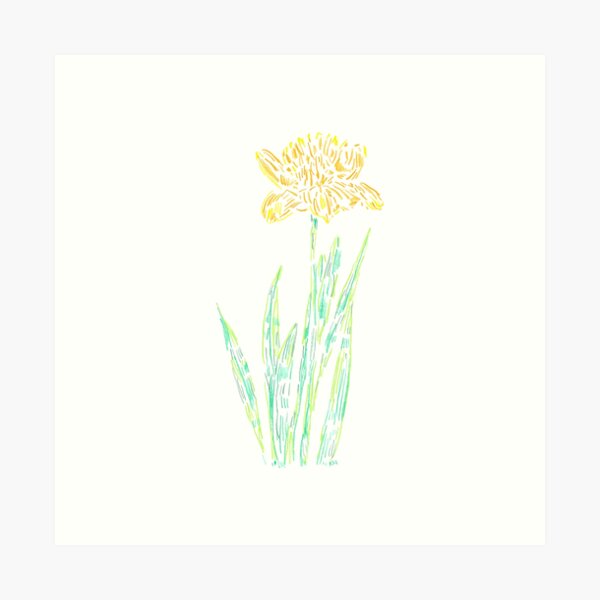 2022 03 flowers 03 Daffodil Art Print