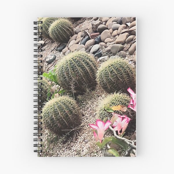 Item preview, cactus plants  designed and sold by Mountizey.