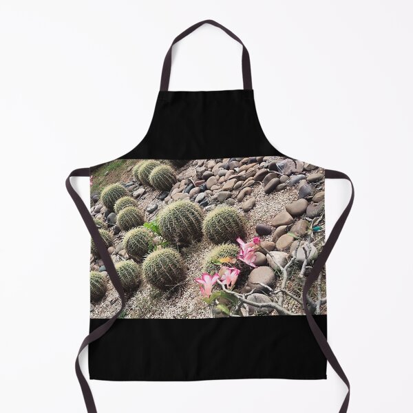 Item preview, cactus plants designed and sold by Mountizey.