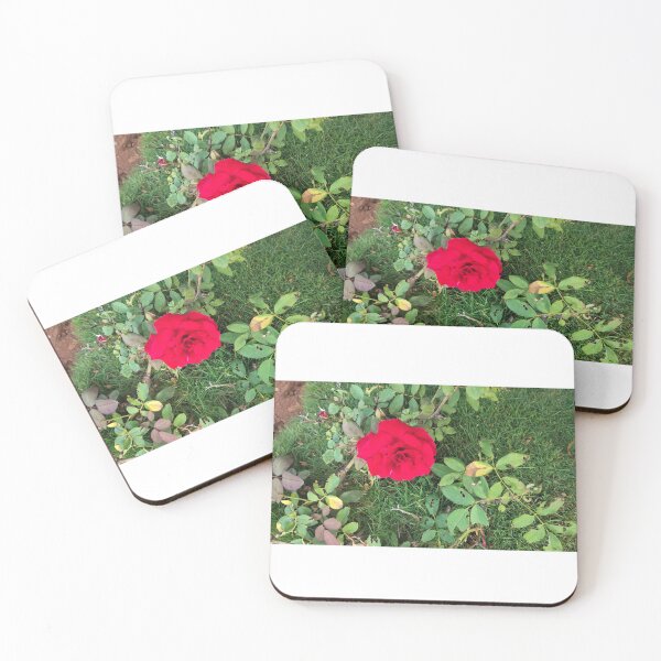 Item preview, red rose plant  designed and sold by Mountizey.