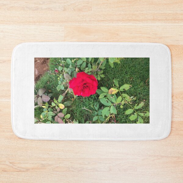 Item preview, red rose plant  designed and sold by Mountizey.