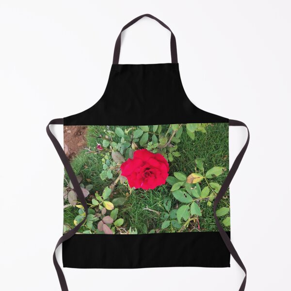 Item preview, red rose plant  designed and sold by Mountizey.