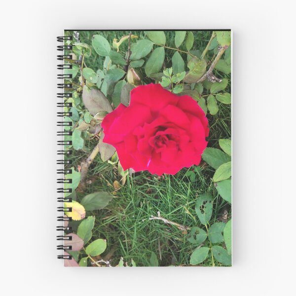 Item preview, red rose plant  designed and sold by Mountizey.