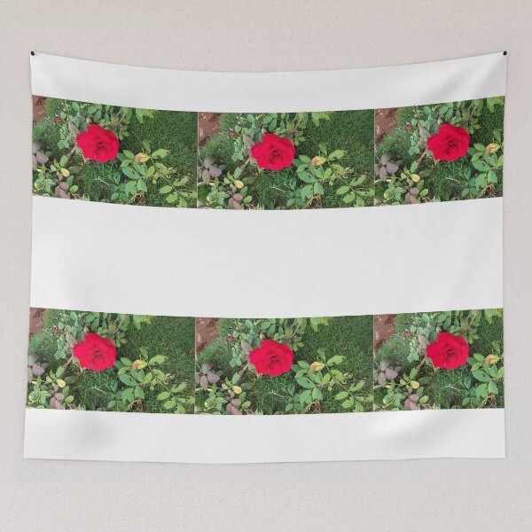 Item preview, red rose plant  designed and sold by Mountizey.