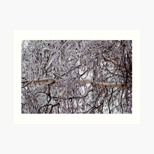 Winter-Frost-Tree Art Print